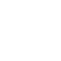 Client Engagements